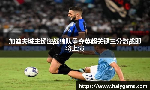 加迪夫城主场迎战狼队争夺英超关键三分激战即将上演